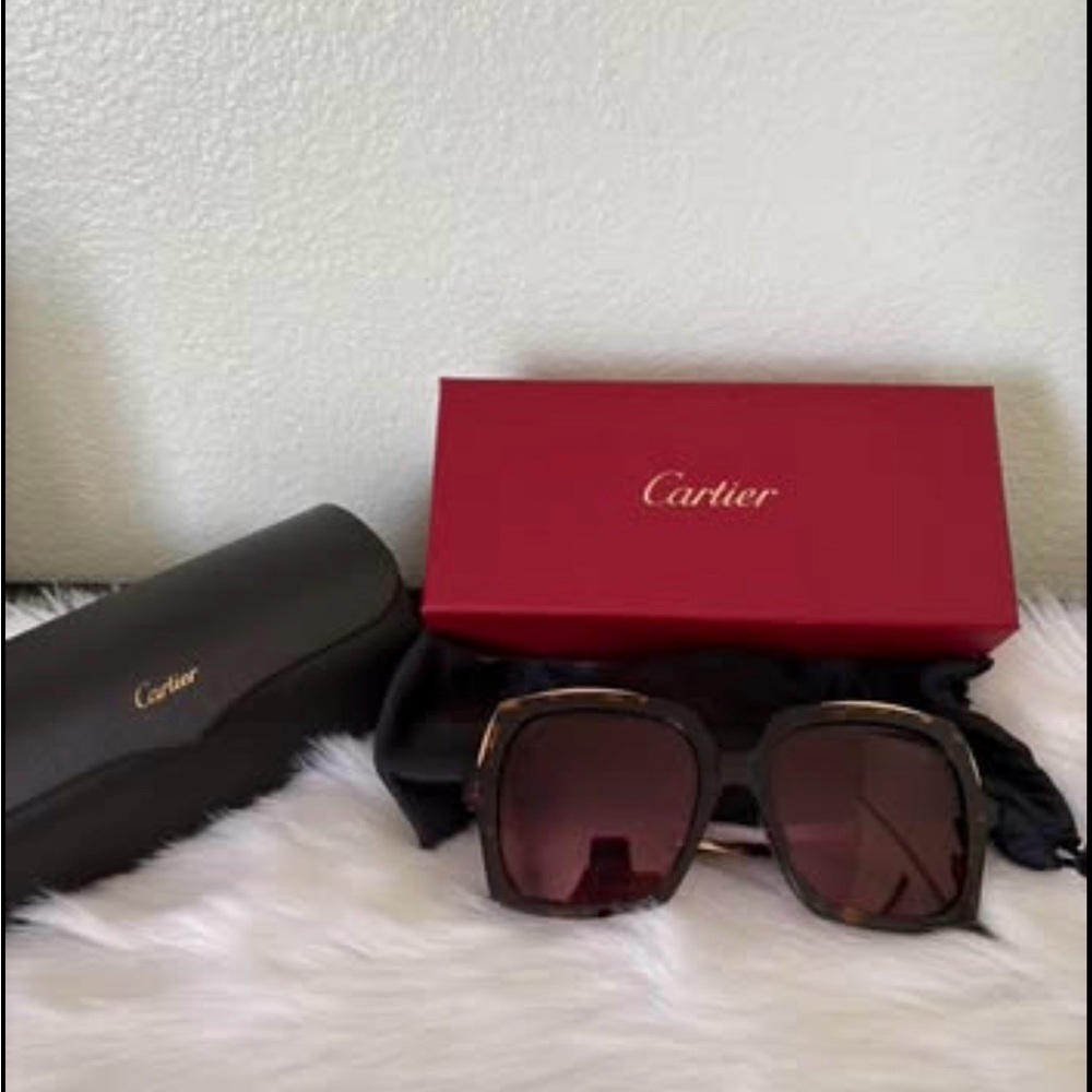Cartier CT0117S Havana Gold Women's Sunglasses